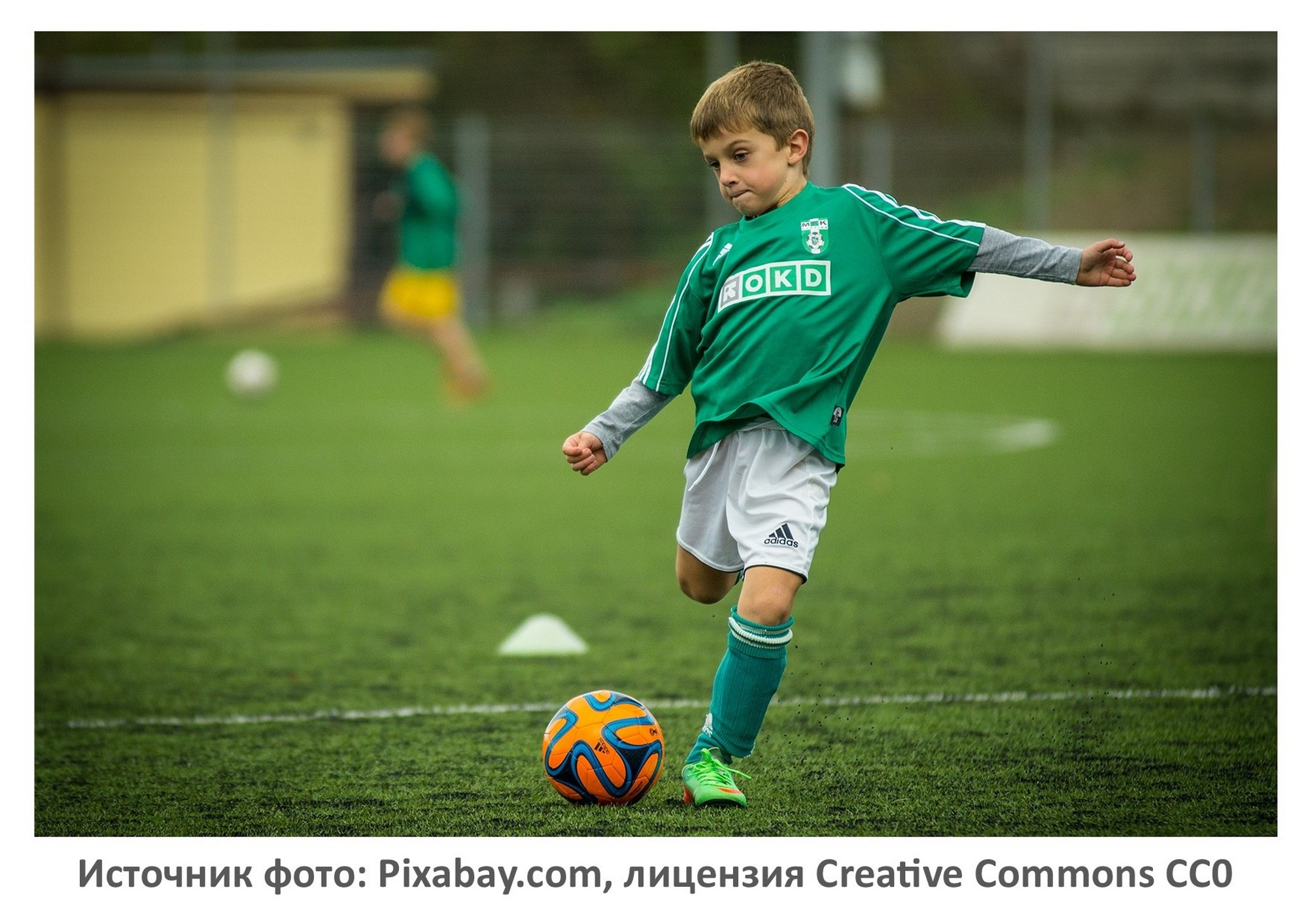 Источник фото: Pixabay.com